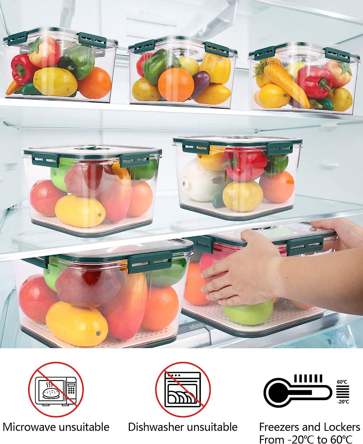 Freshness Preservation Food Storage Container (Pack of 2)