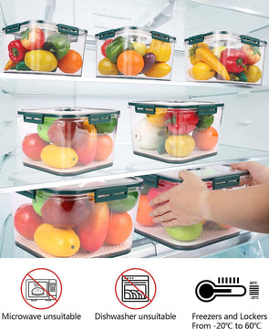 Freshness Preservation Food Storage Container (Pack of 2)